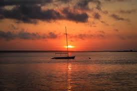 Tom Rickard, Photographer At Large