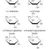Finally, 2dg has a favorable preliminary toxicity profile. 1