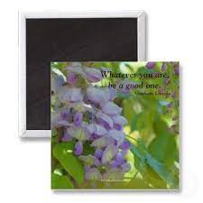 Wisteria Flower Photo Positive Affirmation Magnet Magnet Affirmation Magnet Positive Affirmations Flower Photos