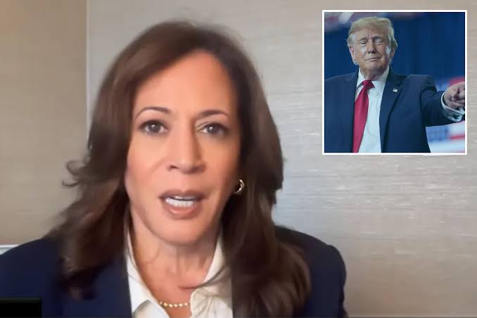 Kamala Harris warns Dems against impeaching Trump if they retake Congress: ' Not a good idea'
