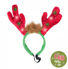 Humans can see light in a range of a few populations of north american reindeer travel up to 3100 miles per year, covering. Zippy Paws Holiday Reindeer Led Antlers Headband Pet Accessory