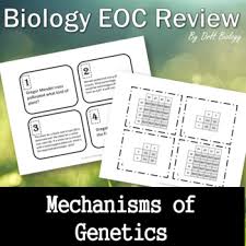 Staar biology test practice questions. Staar Biology Worksheets Teaching Resources Teachers Pay Teachers