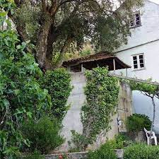 The population in 2011 was 15,880, in an area of 446.73 km². Help Create Paradise On A Stunning Terraced Farm Close To Serta Portugal