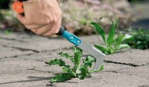 But also be aware that glyphosate is widely criticized by many proponents of organic methods who vehemently oppose any chemical use. Tool To Remove Weeds Between Pavers Easily And Quickly Machinelounge