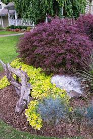 Pin On Garden