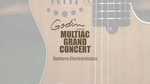 Resultado de imagen de guitarras godin