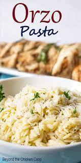 Orzo Pasta Recipe Pasta Recipes Pasta Dishes Pasta Side Dishes