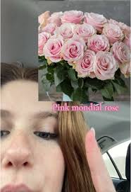 Pink Mondial Roses Controversy
