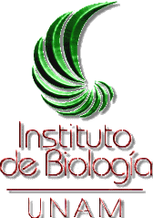 Image result for Monostachya stapelioides