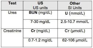 Bun Creatinine Ratio Bun Creatinine Education Blog Medical Education