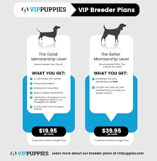 Find buyer and seller for your beloved pets on our website. Breeder Website Plans Advertise Puppies The Easy Way Vip Puppies Puppies Dog Breeder Puppy Top