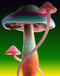 Archived 5 dec 2020 17:08:13 utc. 370 Magical Mushrooms Ideas In 2021 Magical Mushrooms Mushroom Art Stuffed Mushrooms