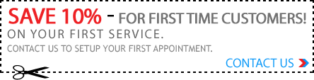 We did not find results for: Las Vegas Pest Control Henderson Exterminator Services In Nevada Nv