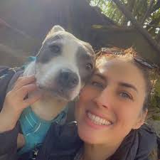 Depressed dog medicine concerns and alternatives