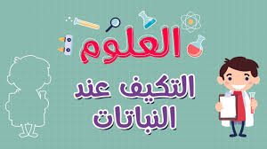 العلوم التكيف عند النباتات Youtube