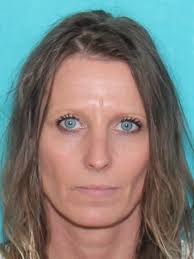 Missing person in Sevier County