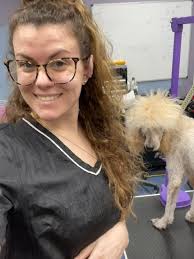 Dog Grooming Services in Ellettsville Area