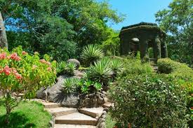 Ein botanischer garten dient aber nicht nur der wissenschaft. Botanischer Garten In Rio De Janeiro Brasilien Franks Travelbox