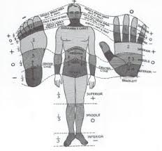 Polarity Therapy Ian Cindy Rawlinson L Ac