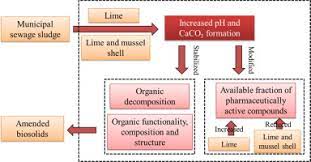 Lime cleaner is a concentrated aqueous solution consisting of a blend of acids, special surfactants and specific corrosion inhibitors. Amendment Of Municipal Sewage Sludge With Lime And Mussel Shell Effects On Fate Of Organic Matter And Pharmaceutically Active Compounds Sciencedirect