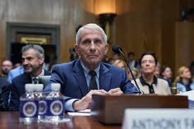 Anthony Fauci: o que se sabe sobre a audiência do médico americano sobre a pandemia e as fake news