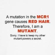Red Head Quotes Funny Redhead Funny Quotes Quotesgram redhead funny quotes quotesgram