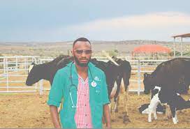 It's bits and bytes, the newsletter from vet2pet's founder and ceo, stacee santi, dvm! Veterinary Science For The Love Of Animals The Namibian