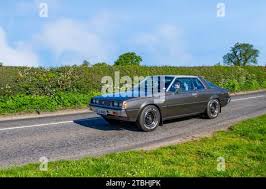 Image result for Sapporo White 1976 Colt