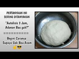 Dikenal sebagai bakpao di indonesia, makanan ini berasal dari negri china yang artinya lebih kurang adalah. Autolisis Campur Ragi Selama Berjam Jam Adonan Tanpa Uleni Litetube