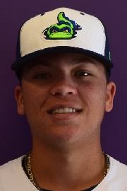 Dustin Harris minor league baseball statistics