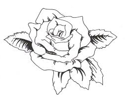 Latest Outline Rose Tattoo Design Jpg 900 707 Tattoo Outline Drawing Rose Tattoos Outline Drawings