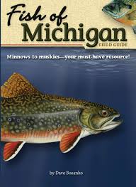 Fish Of Michigan Field Guide Fish Identification Guides