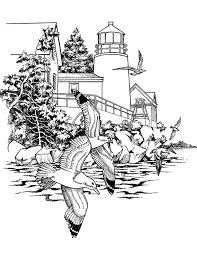 These printable coloring pages inspire your little ones to explore their artistic talents and fill the pictures with the colors of their imagination. Seagulls Birds Adult Coloring Pages