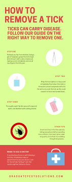How To Remove A Tick How To Remove Ticks Pest Control