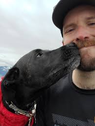 Where to find a used topper for a 2022 Toyota Tacoma TRD Sport in the upper  Midwest?