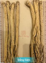 Đẳng Sâm