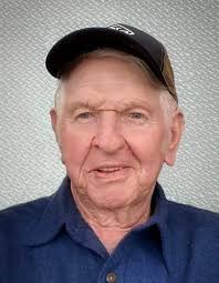 Obituary for Dennis H. Loy