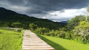 images?q=tbn:ANd9GcSCqPEDJpwq_MnUudwp54dMWGotTaM3KInPnw&s