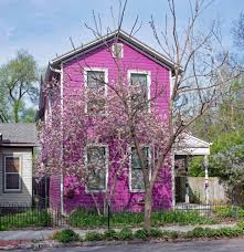 Check spelling or type a new query. 60 Houses With White Trim Exterior Home Stratosphere