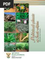 Image result for Ekebergia benguelensis