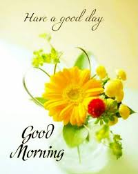 Check spelling or type a new query. Good Morning Images Good Morning Images Good Morning Flowers Cute Good Morning Images