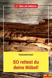 Holzwurm Selbst De Holzwurm Holz Holzwurmer Bekampfen