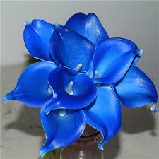 Chelsea has been working in events for four years doing corporate event and party planning and wedding floral design. Bright Blue Wedding Flowers Teal Green Calla Lilies Real Touch Calla Lily Bouquet Wedding Decoration Artificial Flower Artificial Dried Flowers Aliexpress
