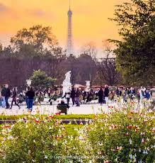 Weather in Paris in November: What to Expect and Packing Tips