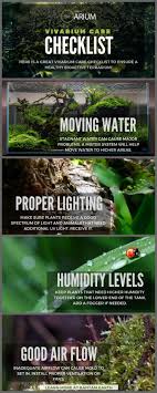 Vivarium Complete Care Guide How To Build Bantam Earth Bioactive Vivarium Vivarium Frog Terrarium