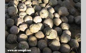 Ditakh Fruits Fruit Jus De Fruit
