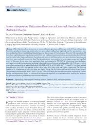 Image result for Pentas schimperiana