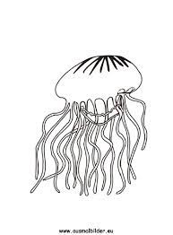 Maybe you would like to learn more about one of these? Ausmalbild Qualle Zum Ausdrucken