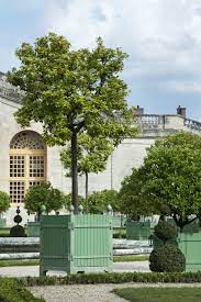 The palace of versailles or château de versailles was the principal royal residence of france from 1682, under louis xiv, until the start of the french. The History Of Versailles Citrus Planter Boxes Eye Of The Day Garden Design Center