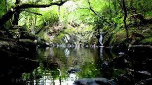 Pin On Relaxing Music S Video S